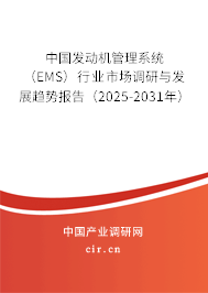 中國(guó)發(fā)動(dòng)機(jī)管理系統(tǒng)（EMS）行業(yè)市場(chǎng)調(diào)研與發(fā)展趨勢(shì)報(bào)告（2025-2031年）