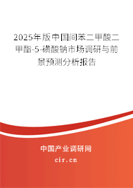 2025年版中國間苯二甲酸二甲酯-5-磺酸鈉市場調(diào)研與前景預(yù)測分析報(bào)告