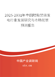 2025-2031年中國(guó)垃圾焚燒發(fā)電行業(yè)發(fā)展研究與市場(chǎng)前景預(yù)測(cè)報(bào)告