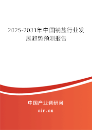 2025-2031年中國鈉鹽行業(yè)發(fā)展趨勢預(yù)測報告