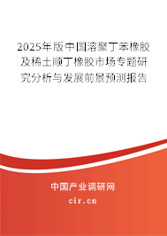 2025年版中國溶聚丁苯橡膠及稀土順丁橡膠市場專題研究分析與發(fā)展前景預(yù)測報(bào)告