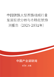 中國鐵路大型養(yǎng)路機械行業(yè)發(fā)展現狀分析與市場前景預測報告（2025-2031年）