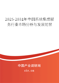2025-2031年中國系統(tǒng)集成服務(wù)行業(yè)市場分析與發(fā)展前景