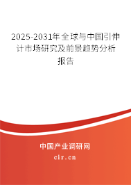 2025-2031年全球與中國(guó)引伸計(jì)市場(chǎng)研究及前景趨勢(shì)分析報(bào)告