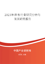 2023年麻布行業(yè)研究分析與發(fā)展趨勢報告