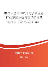 中國大功率HID燈電子鎮(zhèn)流器行業(yè)發(fā)展分析與市場前景預(yù)測報告（2025-2031年）