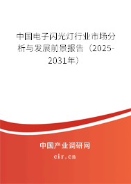 中國電子閃光燈行業(yè)市場分析與發(fā)展前景報告（2025-2031年）