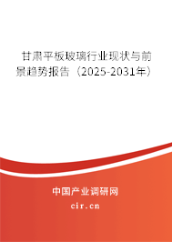 甘肅平板玻璃行業(yè)現(xiàn)狀與前景趨勢報告（2025-2031年）