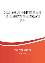 2025-2031年中國鋼塑復合管道行業(yè)研究與前景趨勢預測報告