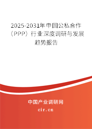 2025-2031年中國公私合作（PPP）行業(yè)深度調(diào)研與發(fā)展趨勢報(bào)告