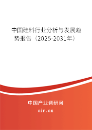 中國(guó)硅料行業(yè)分析與發(fā)展趨勢(shì)報(bào)告（2025-2031年）
