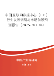 中國(guó)互聯(lián)網(wǎng)數(shù)據(jù)中心（IDC）行業(yè)發(fā)展調(diào)研與市場(chǎng)前景預(yù)測(cè)報(bào)告（2025-2031年）