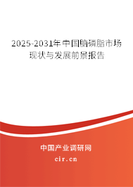 2025-2031年中國(guó)腦磷脂市場(chǎng)現(xiàn)狀與發(fā)展前景報(bào)告