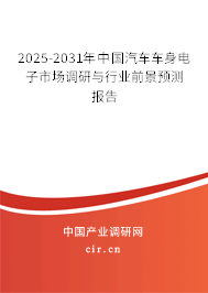 2025-2031年中國(guó)汽車車身電子市場(chǎng)調(diào)研與行業(yè)前景預(yù)測(cè)報(bào)告