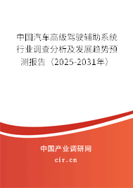 中國汽車高級駕駛輔助系統(tǒng)行業(yè)調(diào)查分析及發(fā)展趨勢預(yù)測報(bào)告（2025-2031年）