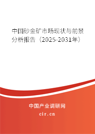 中國(guó)砂金礦市場(chǎng)現(xiàn)狀與前景分析報(bào)告（2025-2031年）