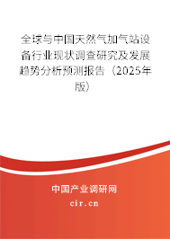 全球與中國天然氣加氣站設(shè)備行業(yè)現(xiàn)狀調(diào)查研究及發(fā)展趨勢分析預(yù)測報告（2025年版）