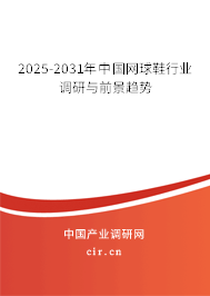2025-2031年中國網(wǎng)球鞋行業(yè)調(diào)研與前景趨勢