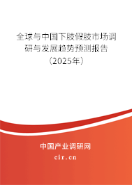 全球與中國下肢假肢市場(chǎng)調(diào)研與發(fā)展趨勢(shì)預(yù)測(cè)報(bào)告（2025年）
