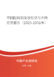 中國陽極銅發(fā)展現(xiàn)狀與市場前景報告（2025-2031年）