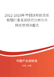 2022-2028年中國遠(yuǎn)程信息處理箱行業(yè)發(fā)展研究分析與市場前景預(yù)測報告