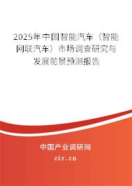 2025年中國智能汽車（智能網(wǎng)聯(lián)汽車）市場(chǎng)調(diào)查研究與發(fā)展前景預(yù)測(cè)報(bào)告