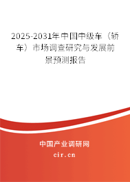 2025-2031年中國(guó)中級(jí)車（轎車）市場(chǎng)調(diào)查研究與發(fā)展前景預(yù)測(cè)報(bào)告