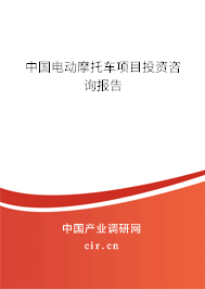 中國(guó)電動(dòng)摩托車項(xiàng)目投資咨詢報(bào)告 中國(guó)電動(dòng)摩托車項(xiàng)目投資咨詢報(bào)告