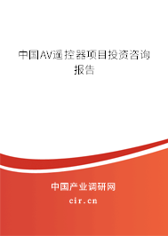 中國AV遙控器項(xiàng)目投資咨詢報(bào)告