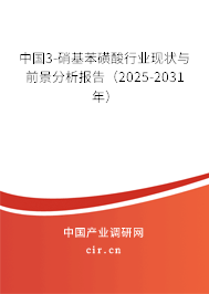 中國3-硝基苯磺酸行業(yè)現(xiàn)狀與前景分析報告（2025-2031年）
