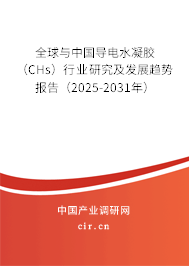 全球與中國(guó)導(dǎo)電水凝膠（CHs）行業(yè)研究及發(fā)展趨勢(shì)報(bào)告（2025-2031年）