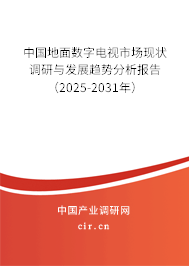 中國(guó)地面數(shù)字電視市場(chǎng)現(xiàn)狀調(diào)研與發(fā)展趨勢(shì)分析報(bào)告（2025-2031年）