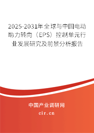 2025-2031年全球與中國電動助力轉(zhuǎn)向（EPS）控制單元行業(yè)發(fā)展研究及前景分析報告