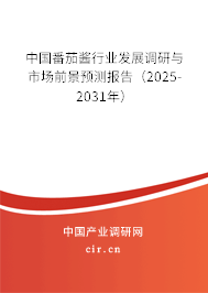 中國(guó)番茄醬行業(yè)發(fā)展調(diào)研與市場(chǎng)前景預(yù)測(cè)報(bào)告（2025-2031年）