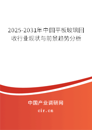 2025-2031年中國(guó)平板玻璃回收行業(yè)現(xiàn)狀與前景趨勢(shì)分析
