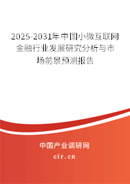 2025-2031年中國小微互聯(lián)網(wǎng)金融行業(yè)發(fā)展研究分析與市場前景預測報告