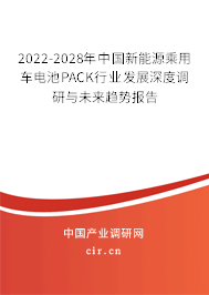 2022-2028年中國新能源乘用車電池PACK行業(yè)發(fā)展深度調研與未來趨勢報告