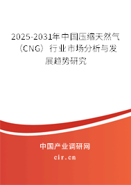 2025-2031年中國(guó)壓縮天然氣（CNG）行業(yè)市場(chǎng)分析與發(fā)展趨勢(shì)研究