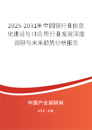 2025-2031年中國銀行業(yè)信息化建設(shè)與IT應(yīng)用行業(yè)發(fā)展深度調(diào)研與未來趨勢分析報告