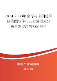 2024-2030年全球與中國組織結(jié)構(gòu)圖軟件行業(yè)發(fā)展研究分析與發(fā)展趨勢(shì)預(yù)測(cè)報(bào)告