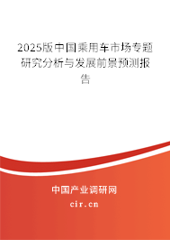 2025版中國乘用車市場專題研究分析與發(fā)展前景預(yù)測報告