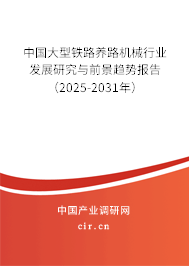 中國(guó)大型鐵路養(yǎng)路機(jī)械行業(yè)發(fā)展研究與前景趨勢(shì)報(bào)告（2025-2031年）