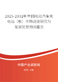 2025-2031年中國(guó)電動(dòng)汽車充電站（樁）市場(chǎng)調(diào)查研究與發(fā)展前景預(yù)測(cè)報(bào)告
