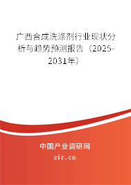 廣西合成洗滌劑行業(yè)現(xiàn)狀分析與趨勢預(yù)測報告（2025-2031年）