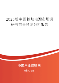 2025版中國(guó)模塊電源市場(chǎng)調(diào)研與前景預(yù)測(cè)分析報(bào)告