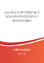 2025年版全球與中國汽車汽油發(fā)動(dòng)機(jī)市場(chǎng)深度調(diào)研與行業(yè)前景預(yù)測(cè)報(bào)告