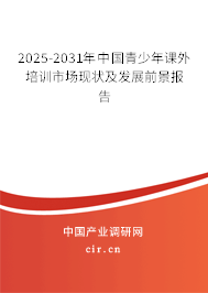 2025-2031年中國青少年課外培訓(xùn)市場現(xiàn)狀及發(fā)展前景報(bào)告