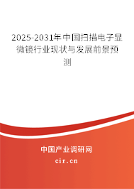 2025-2031年中國掃描電子顯微鏡行業(yè)現(xiàn)狀與發(fā)展前景預測