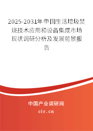2025-2031年中國生活垃圾焚燒技術應用和設備集成市場現(xiàn)狀調(diào)研分析及發(fā)展前景報告