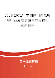 2025-2031年中國透明微晶玻璃行業(yè)發(fā)展調(diào)研與前景趨勢預(yù)測報(bào)告